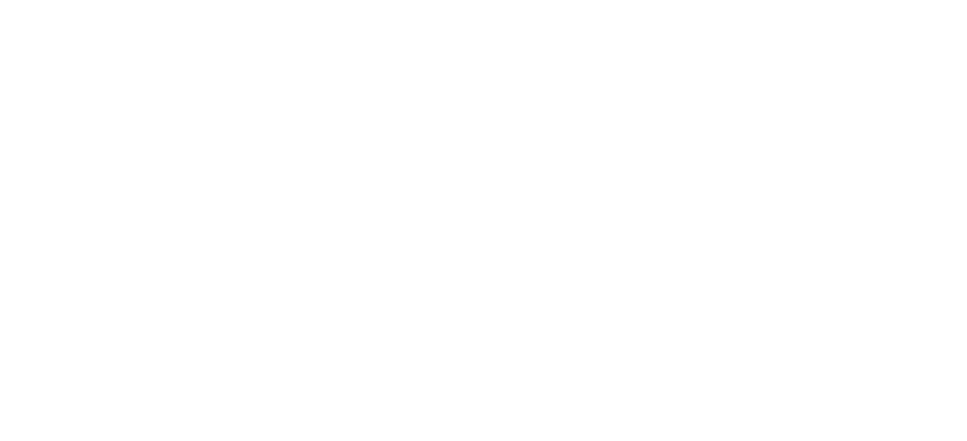 Interior Solutions